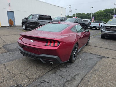 2025 Ford Mustang EcoBoost