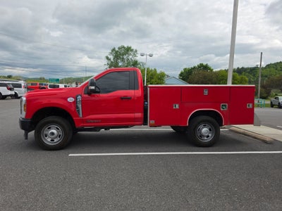 2024 Ford Super Duty F-350 SRW XL