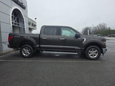 2024 Ford F-150 XLT 4WD SuperCrew 5.5' Box