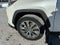 2019 Toyota RAV4 Limited AWD (GS)