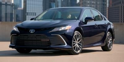 2023 Toyota Camry XLE Auto AWD (Natl)