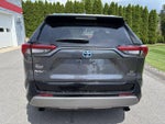 2023 Toyota RAV4 Hybrid SE AWD (Natl)