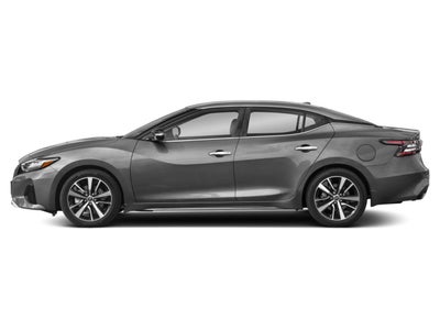2023 Nissan Maxima SV CVT