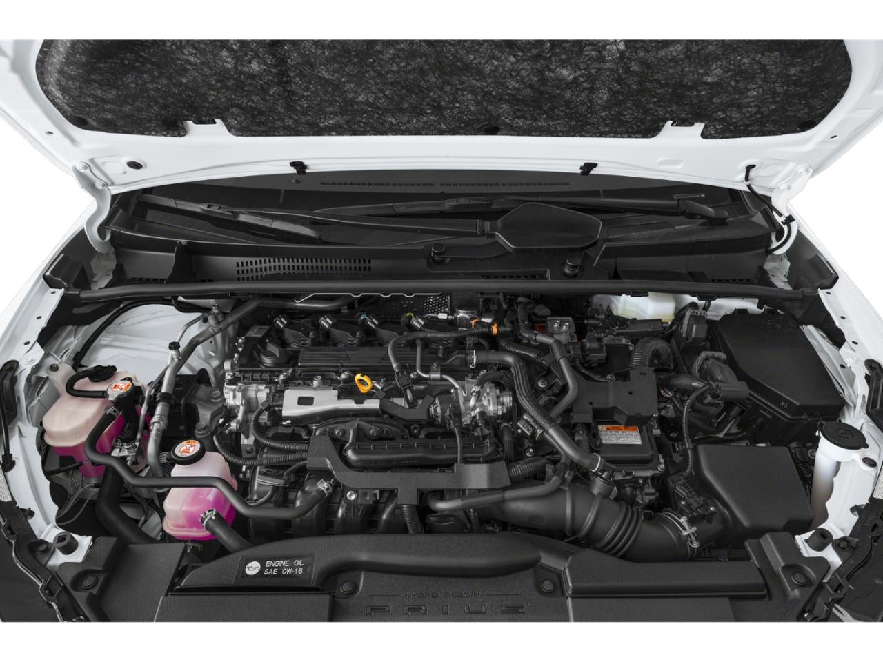 2025 Toyota Prius LE (Natl)