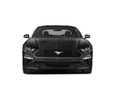2019 Ford Mustang EcoBoost Fastback