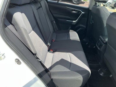 2019 Toyota RAV4 XLE AWD (Natl)