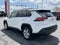 2019 Toyota RAV4 XLE AWD (Natl)