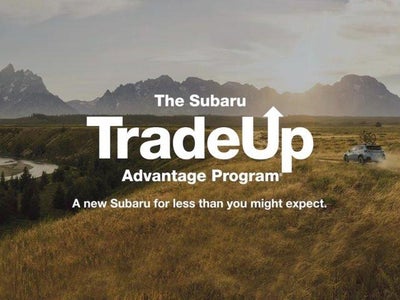 2024 Subaru Outback Wilderness AWD