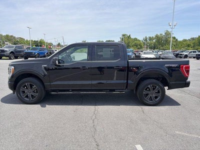 2023 Ford F-150 XLT 4WD SuperCrew 5.5' Box