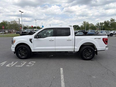 2021 Ford F-150 XLT 4WD SuperCrew 5.5' Box