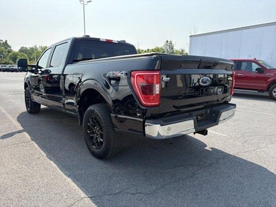 2023 Ford F-150 XLT 4WD SuperCrew 5.5' Box