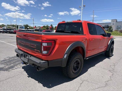 2023 Ford F-150 Raptor 4WD SuperCrew 5.5' Box