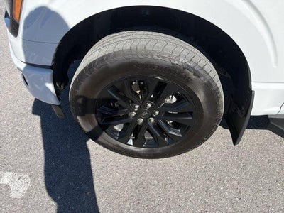 2024 Ford F-150 XLT 4WD SuperCrew 5.5' Box