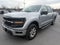 2024 Ford F-150 XLT 4WD SuperCrew 5.5' Box