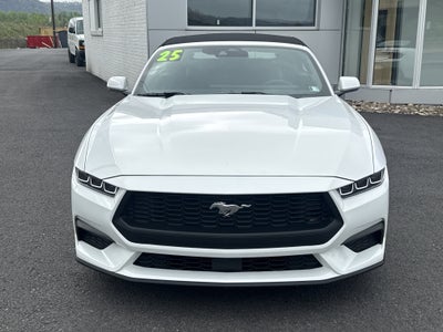 2025 Ford Mustang EcoBoost